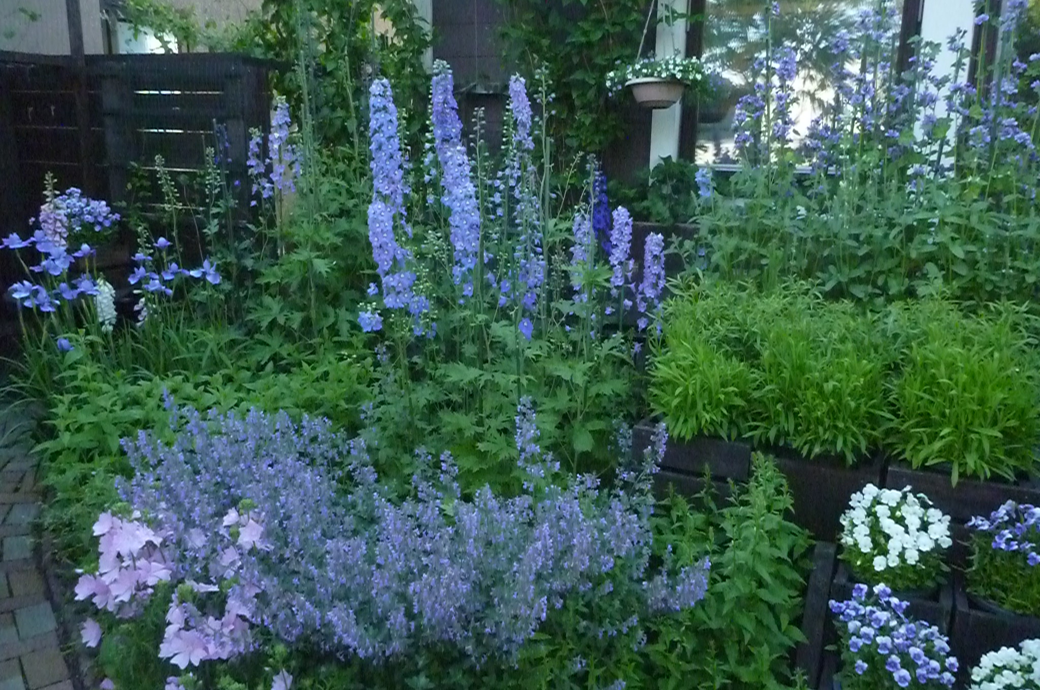 杉若さんのオープンガーデン