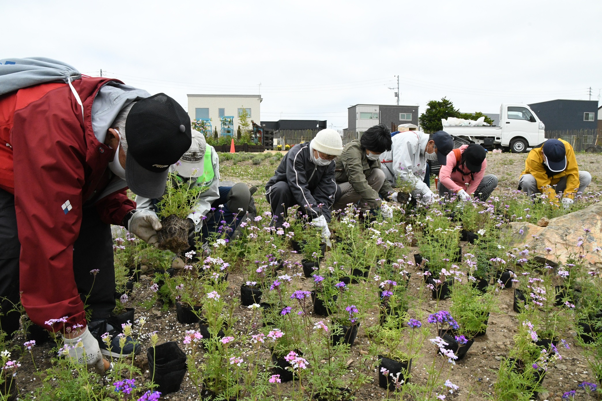市民の花植えの様子(提供:恵庭市)