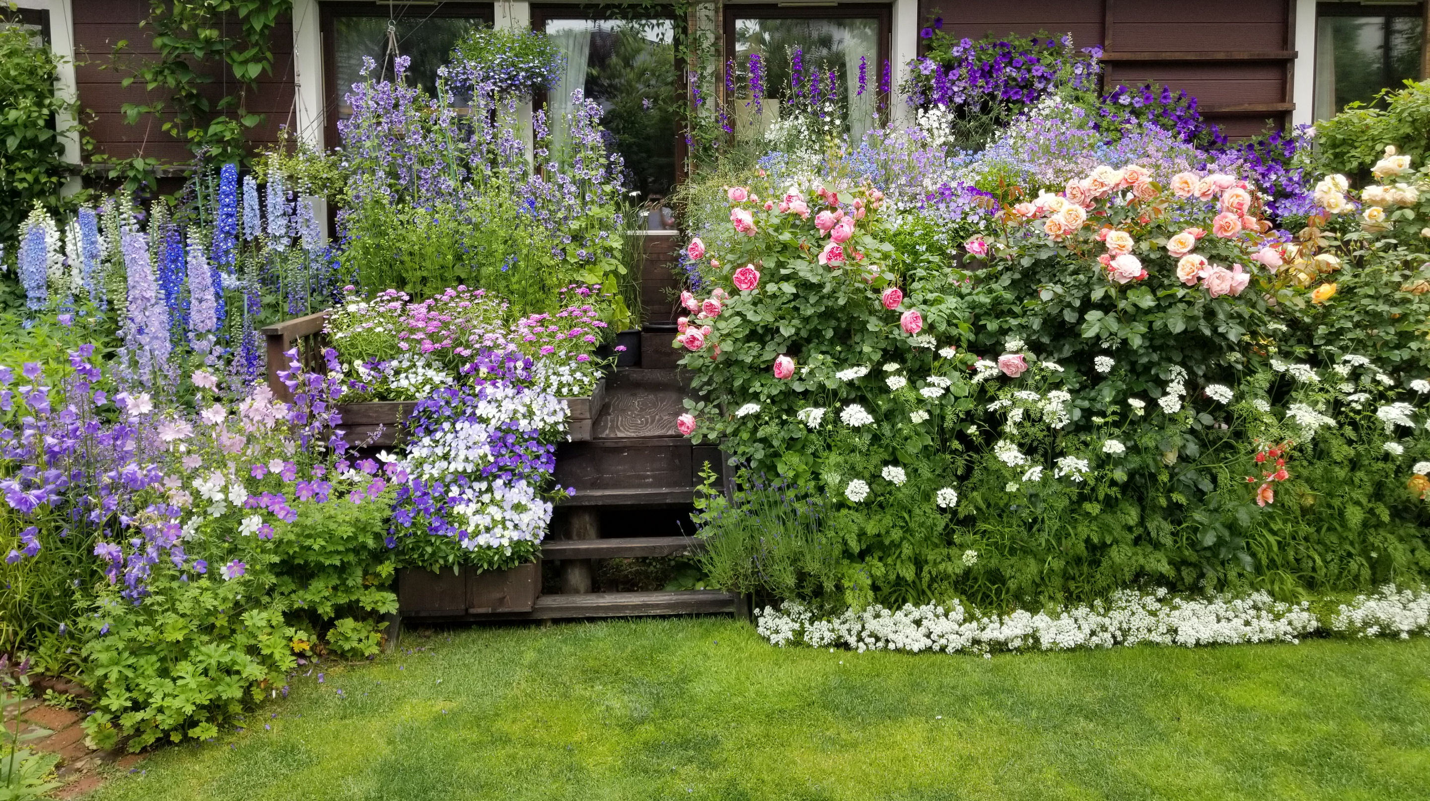 杉若さんのオープンガーデン