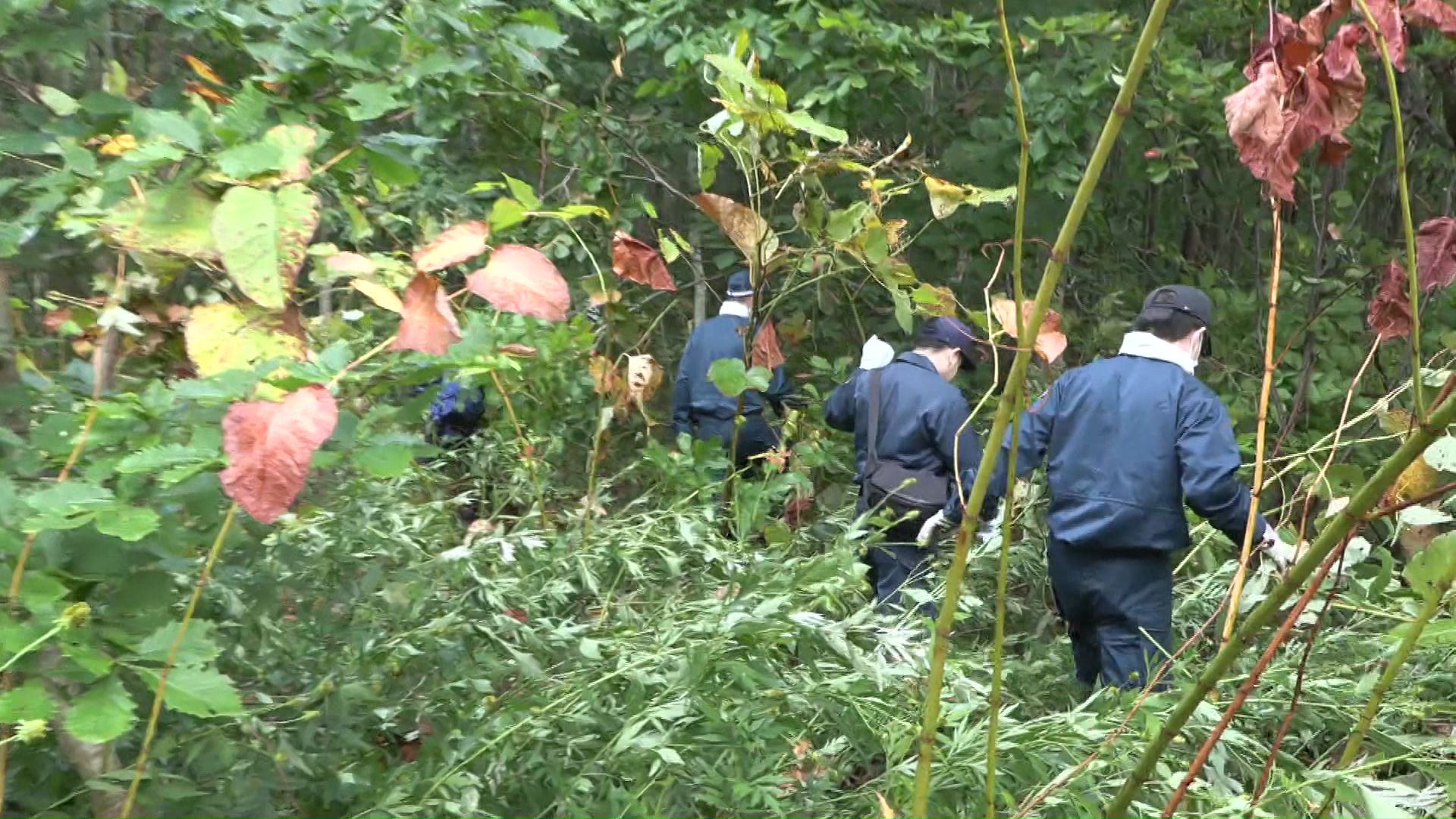 発見されやすい開けた場所で待機することも大事