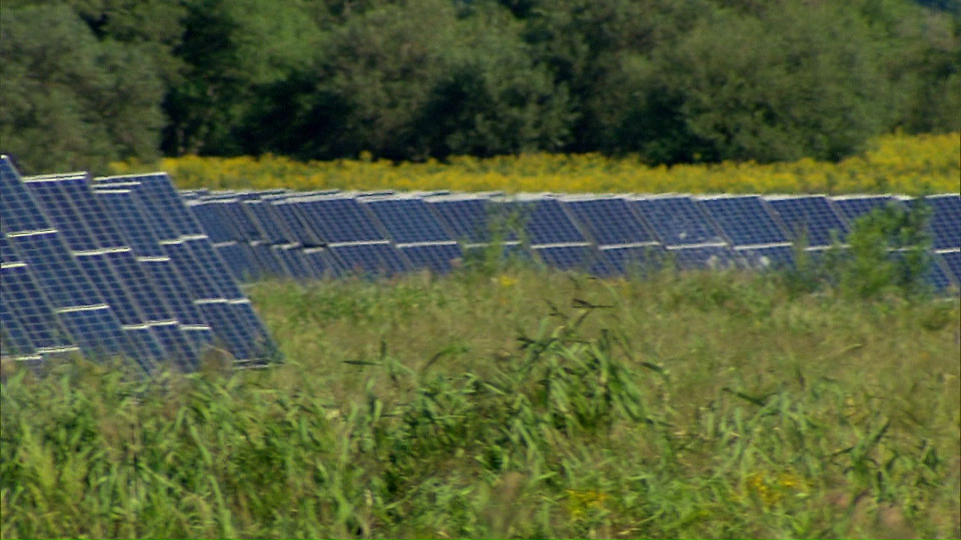 開発進むメガソーラー