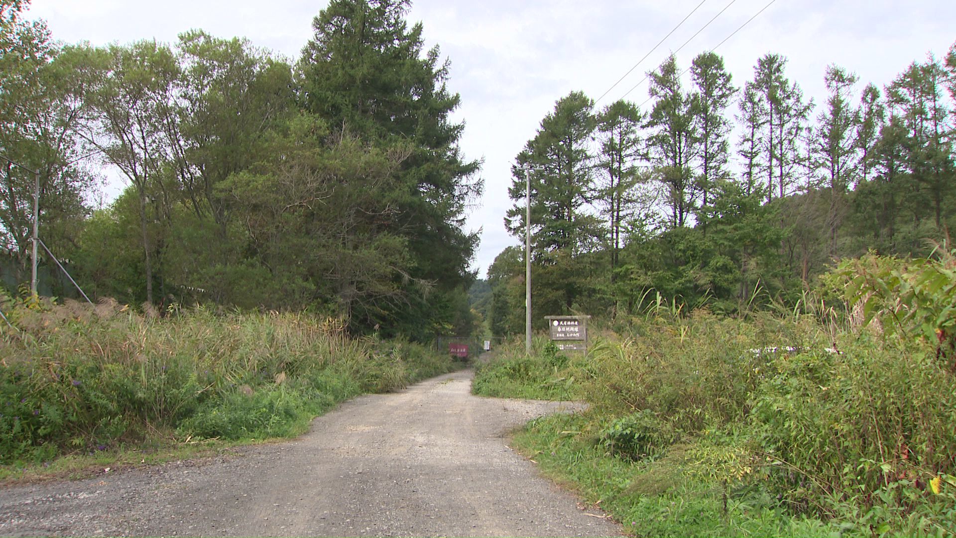 遺体がみつかった現場付近
