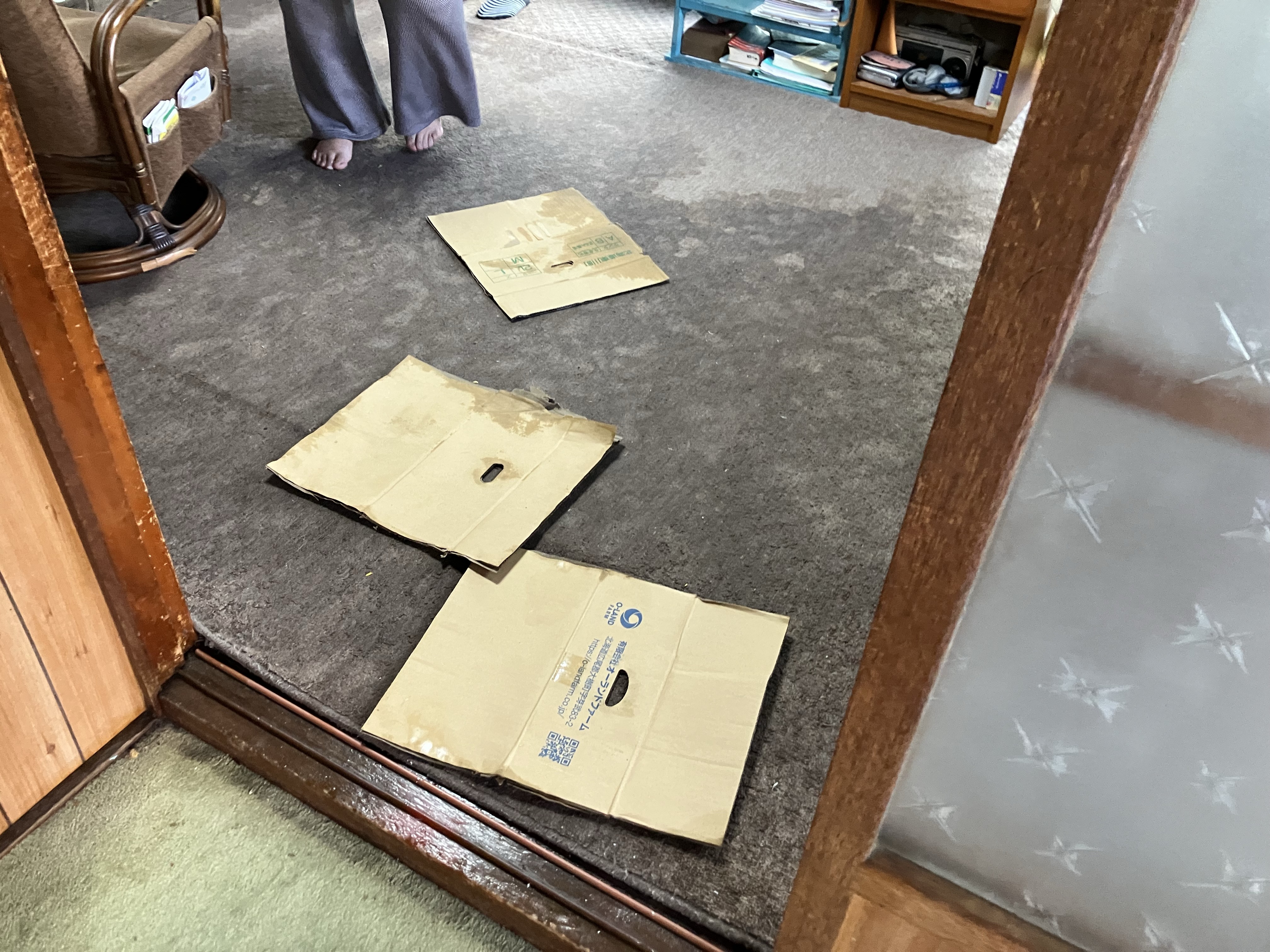 苫小牧市での住宅浸水被害(21日午前8時頃)