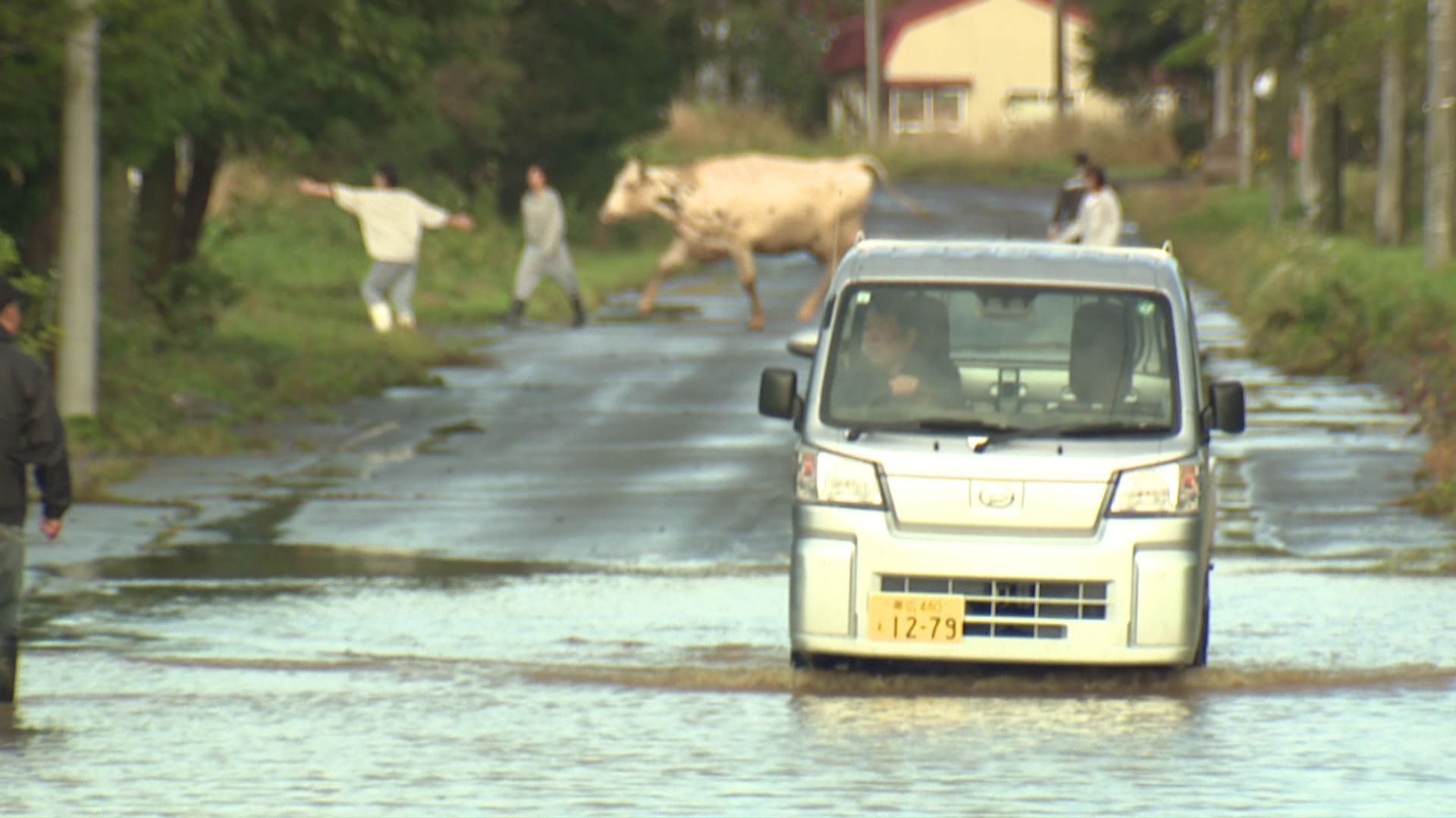 道路が冠水 740人に避難指示