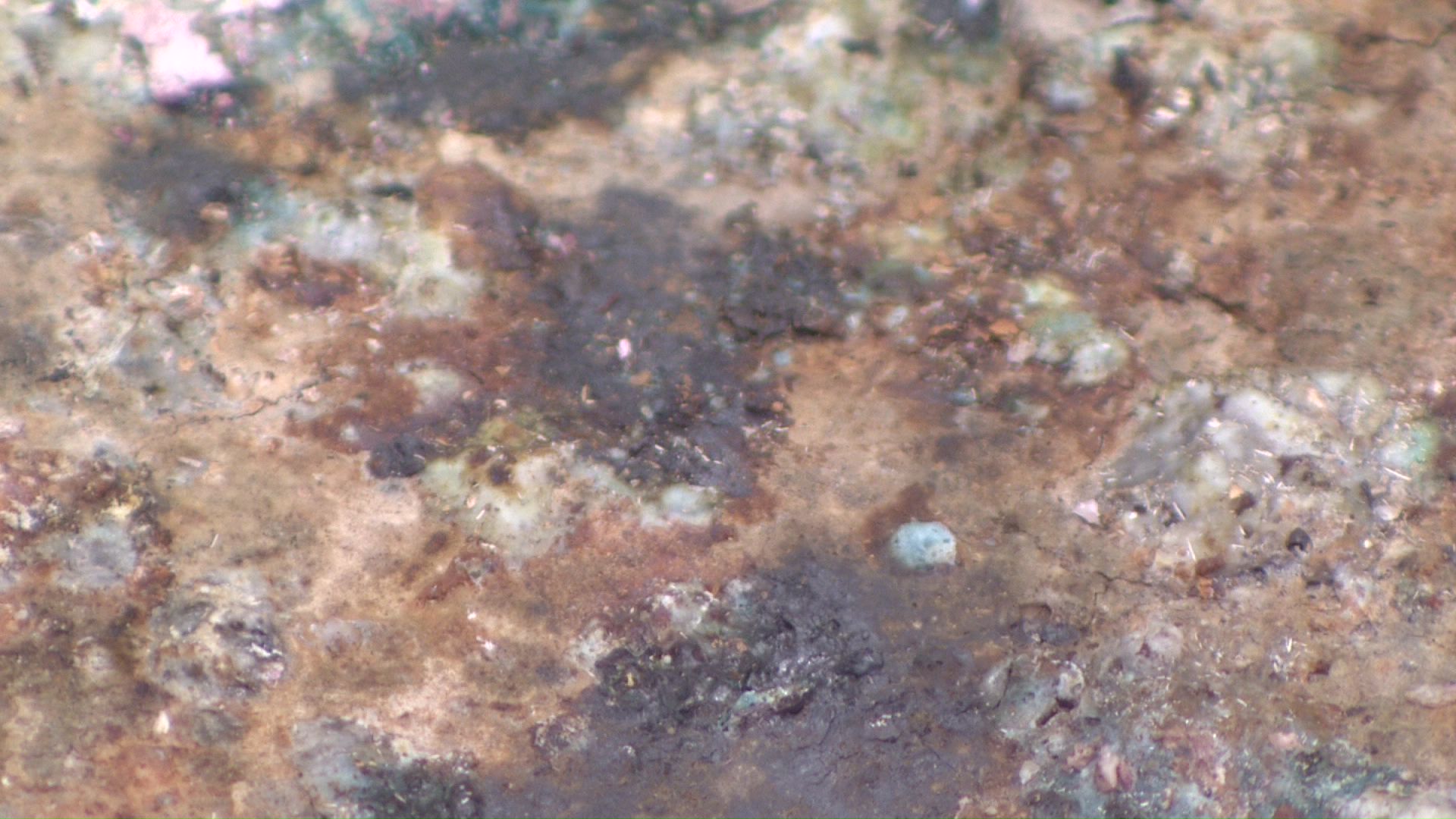 硬貨などの副葬品を棺に入れることが、台車の損傷を進めている