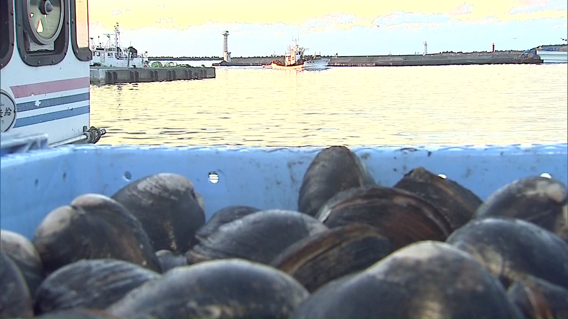 ホッキが名産の苫小牧港は北海道と世界を結ぶ国際拠点港