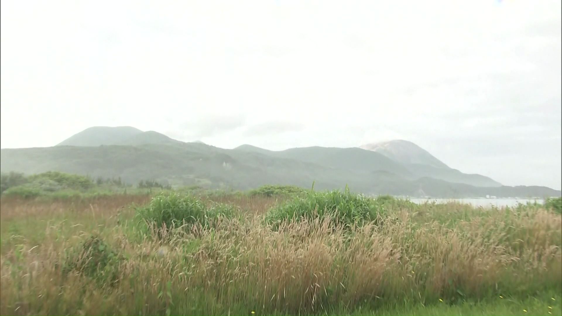 函館市の恵山に猟銃一丁を放置しその場を離れた疑いがもたれている