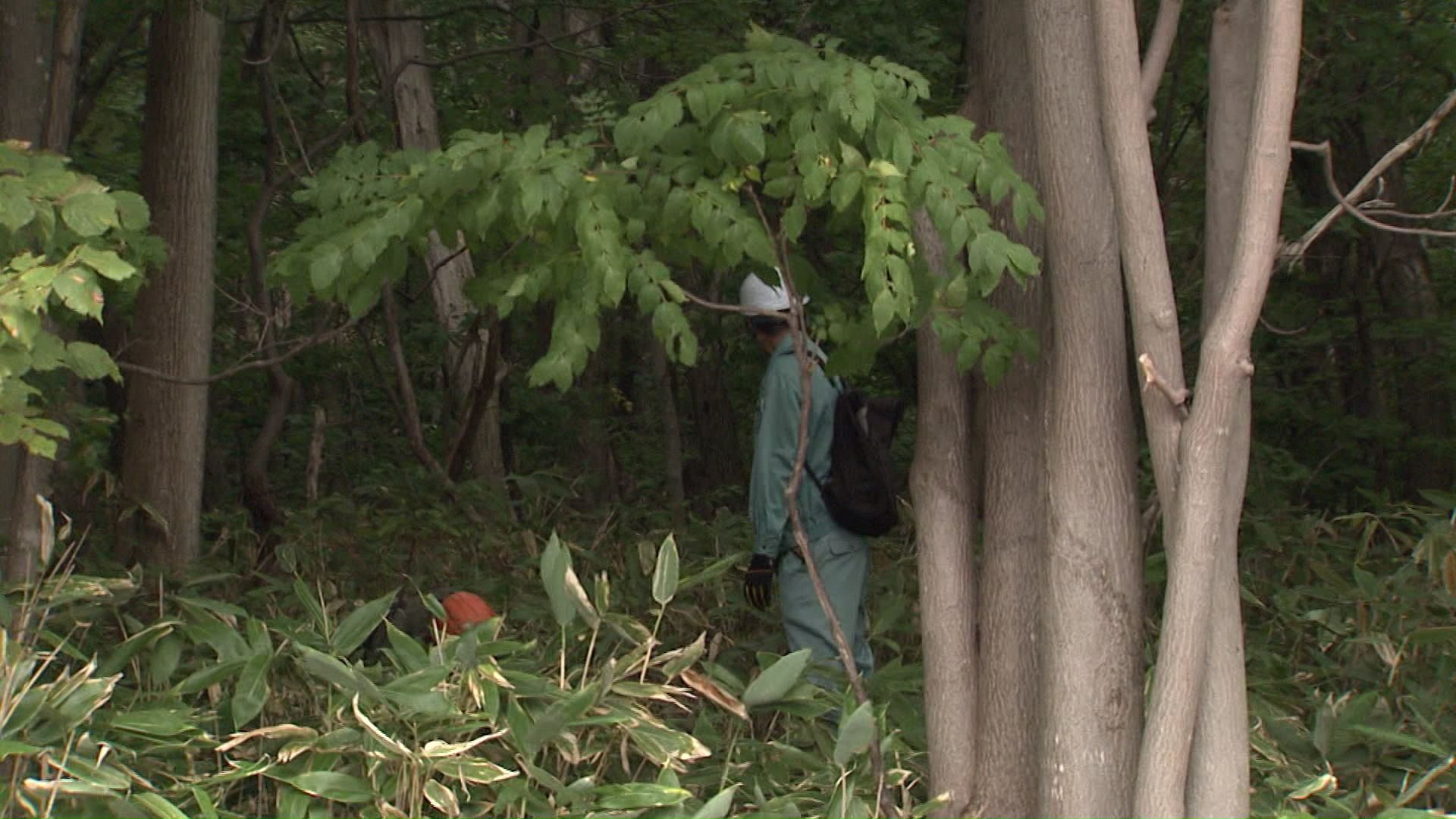 体長約2mのクマの目撃情報があった旭山記念公園