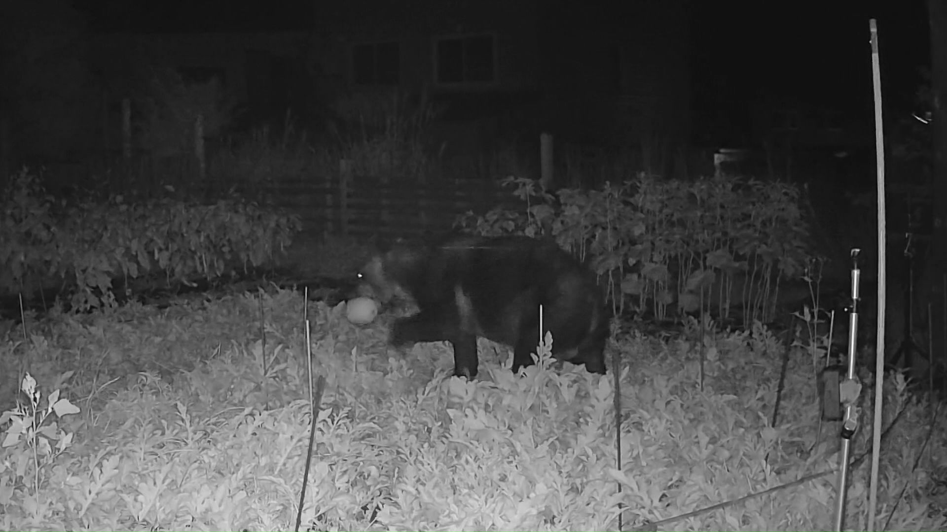 いざという時に迅速に対応できるのか（資料写真）