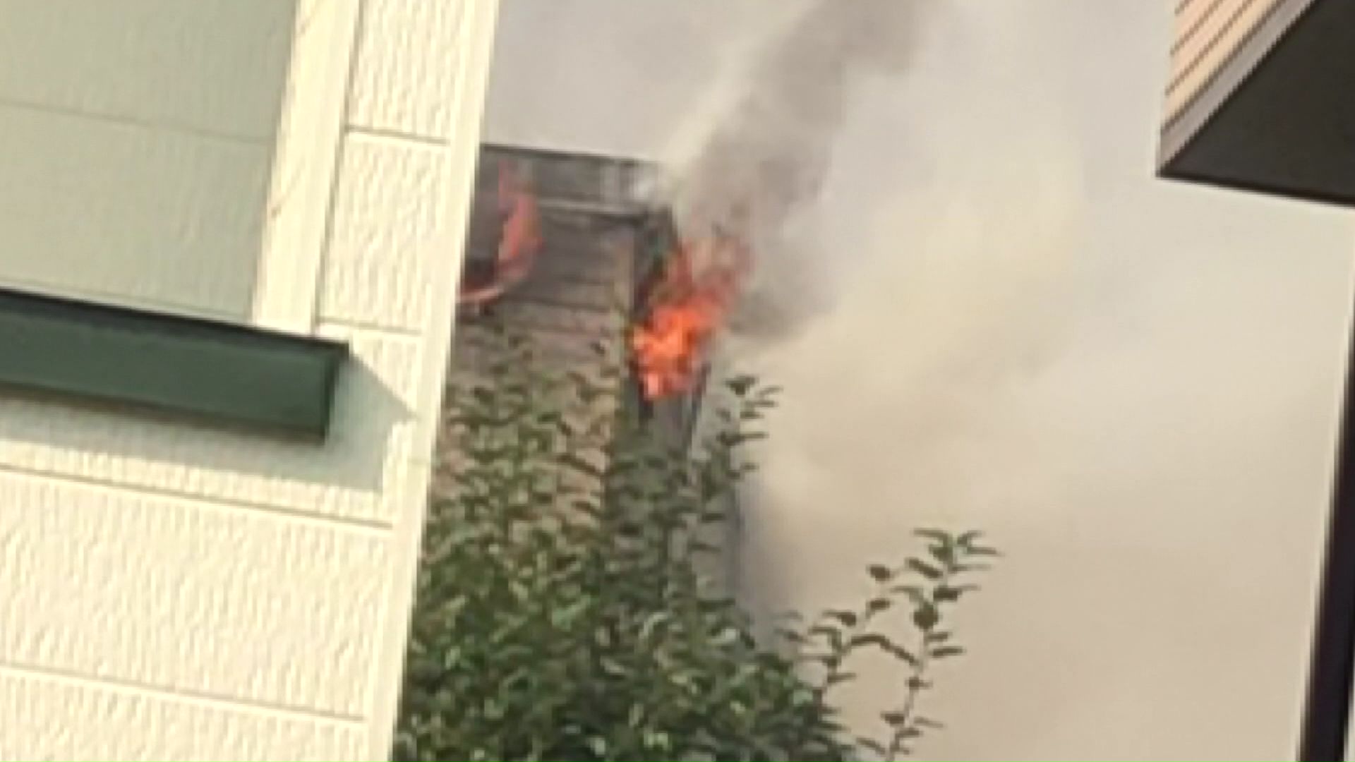 事件があった現場(提供:視聴者)