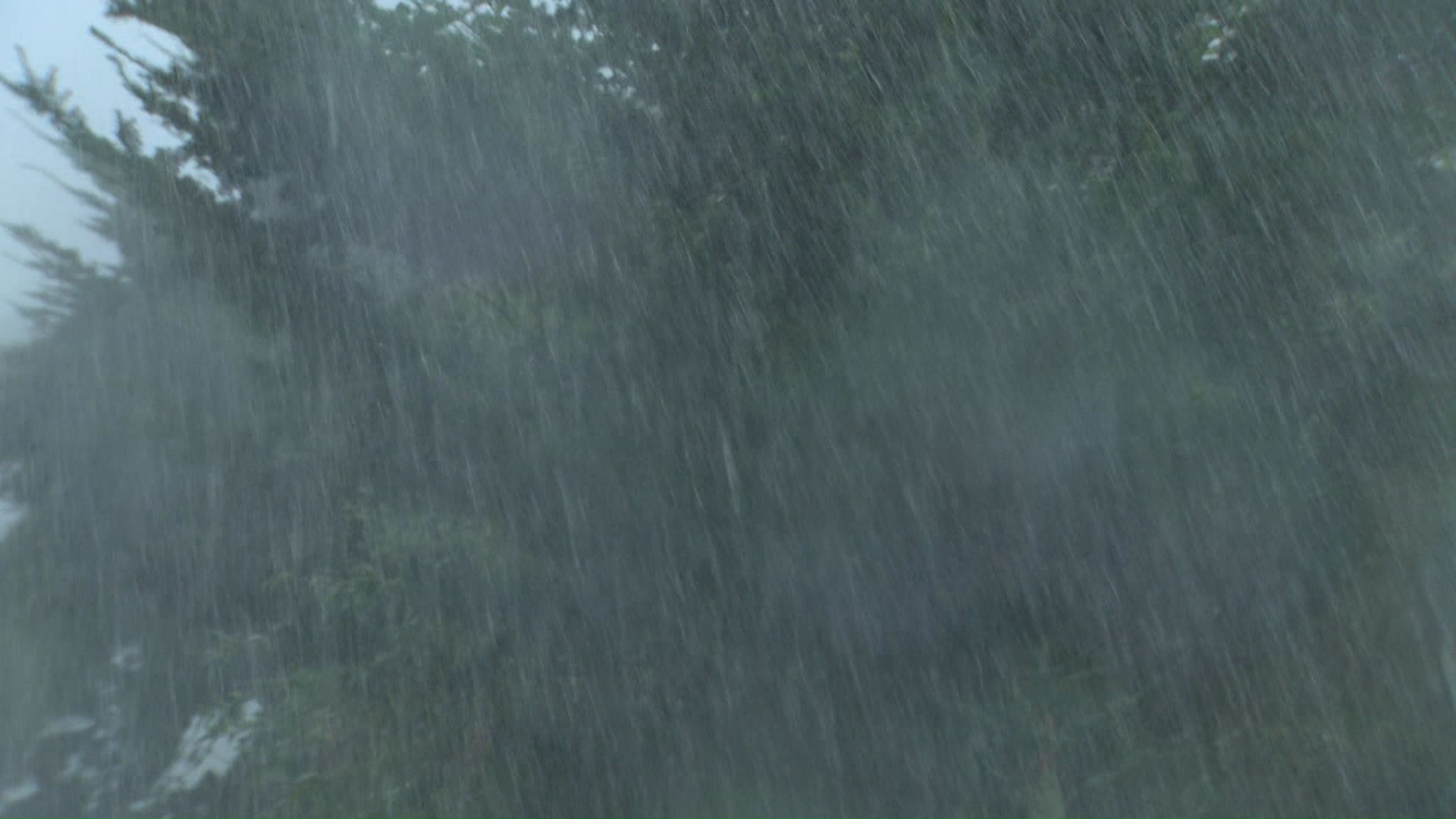 視界が白く見えるほどの大雨
