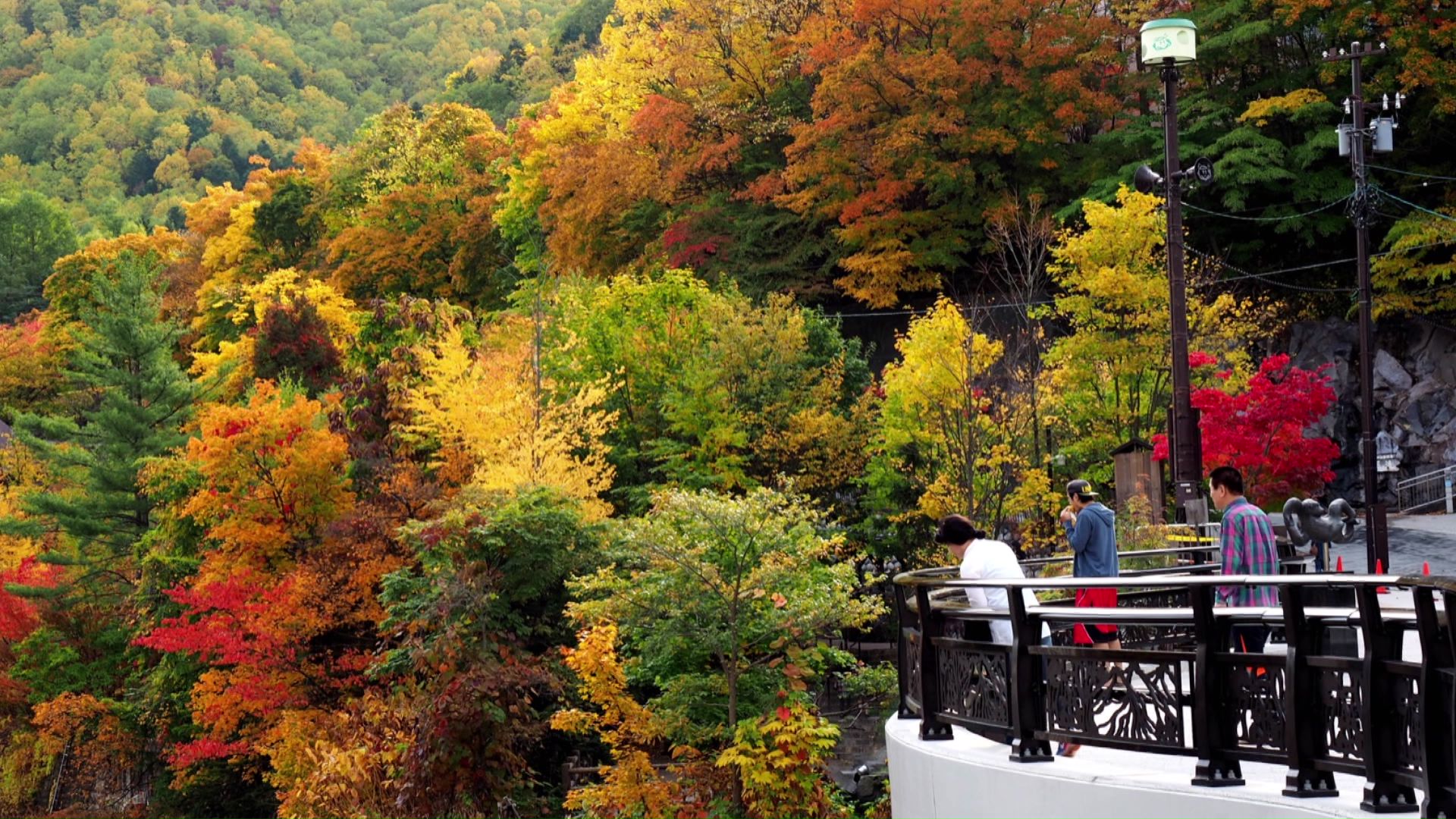 今年の紅葉はどんな表情をみせてくれるでしょうか（提供:定山渓観光協会）