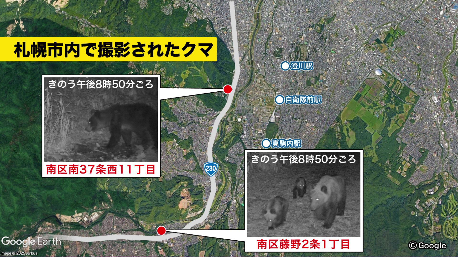 10月1日夜に相次いで札幌市内でクマが撮影される