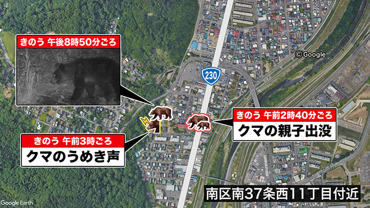 札幌市南区でのクマ出没