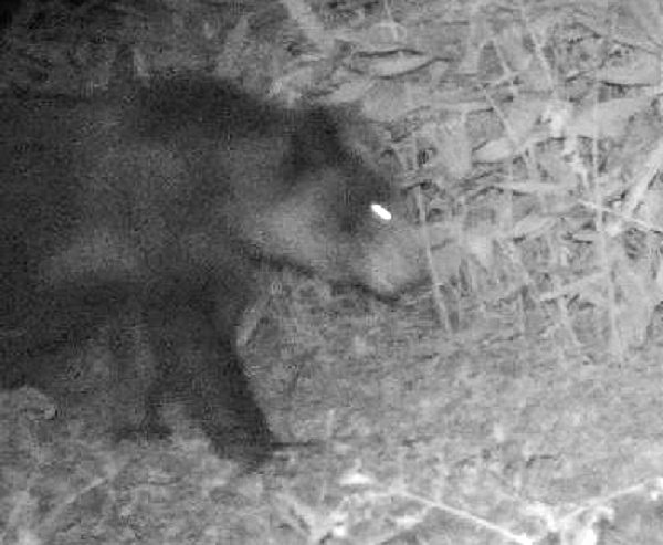 提供:札幌市環境局