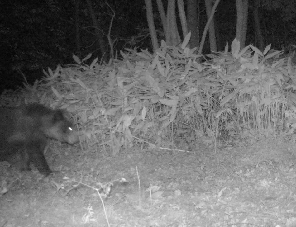 提供：札幌市環境局