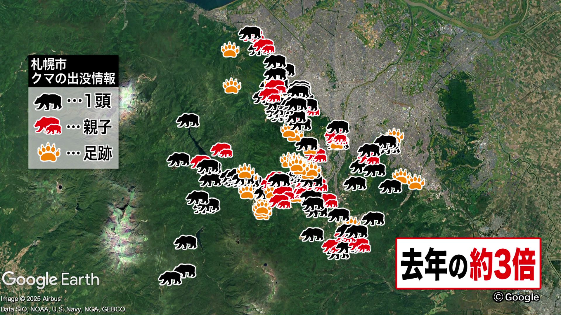 札幌市内のクマの出没は約3倍に