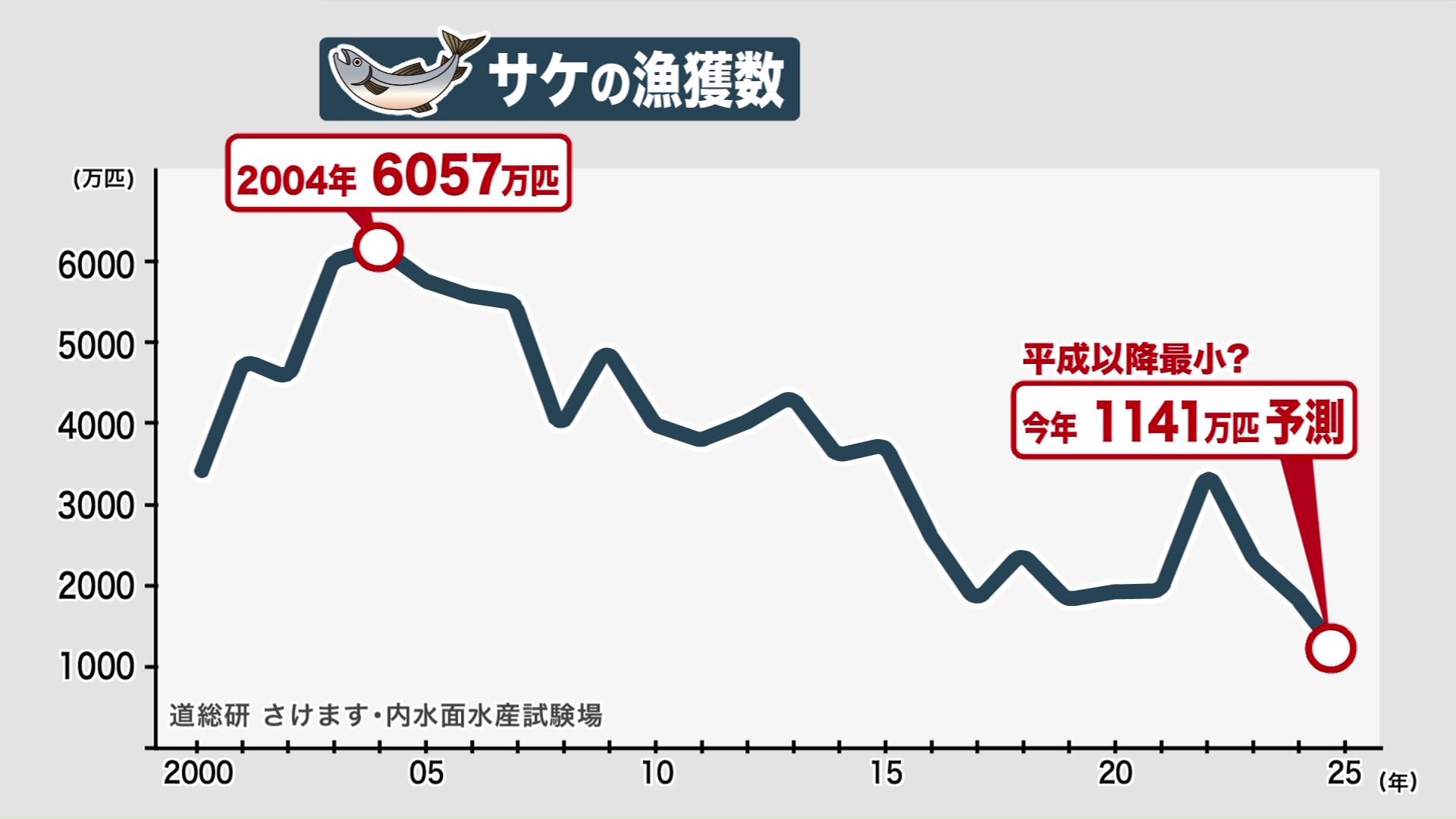 サケの水揚げは20年前と比べると5分の1に