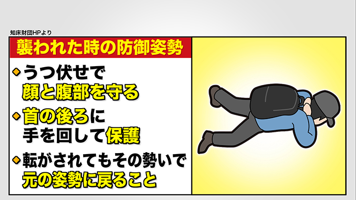 クマと遭遇した際は…