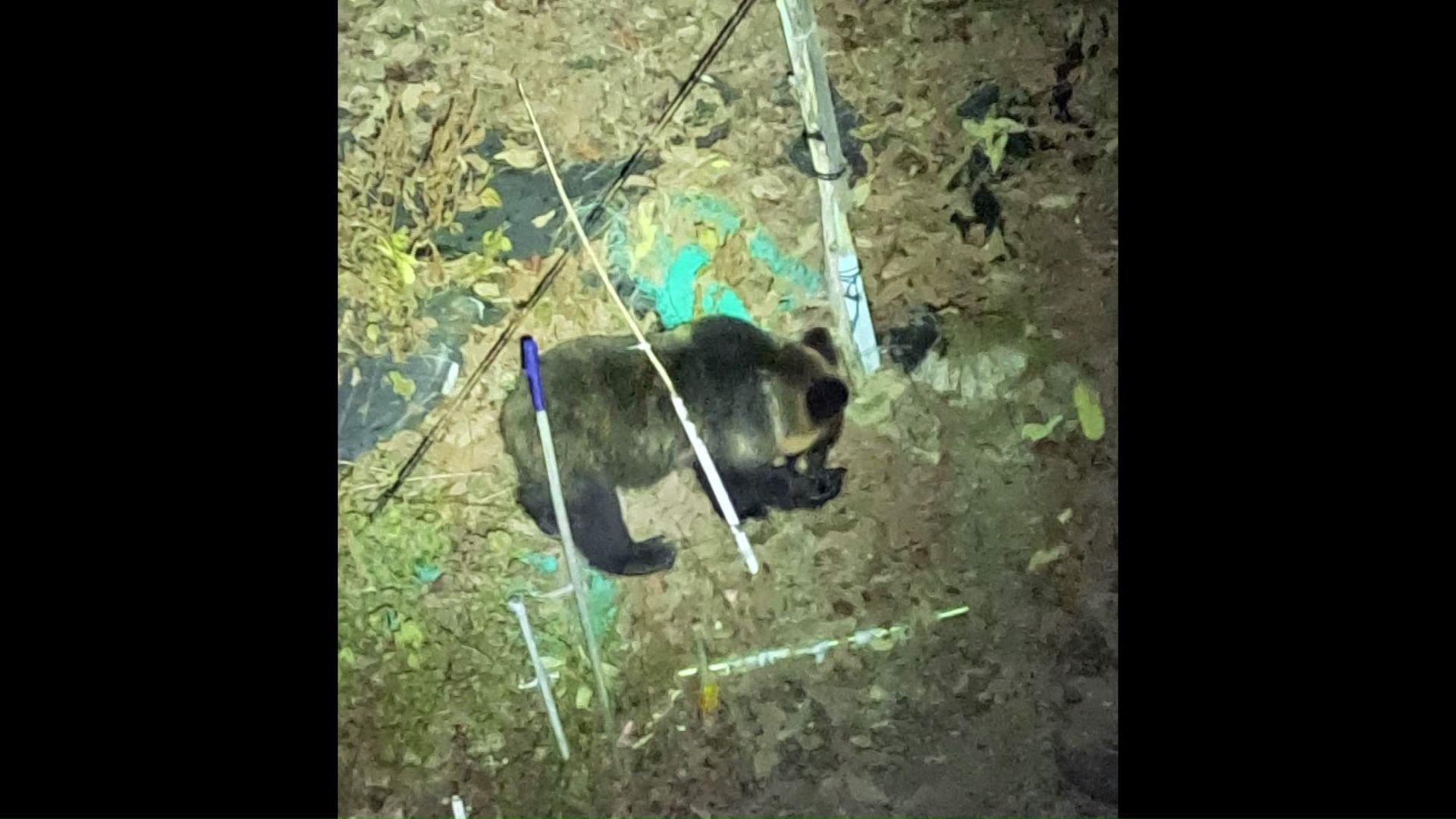 提供:北海道猟友会砂川支部 上砂川部会