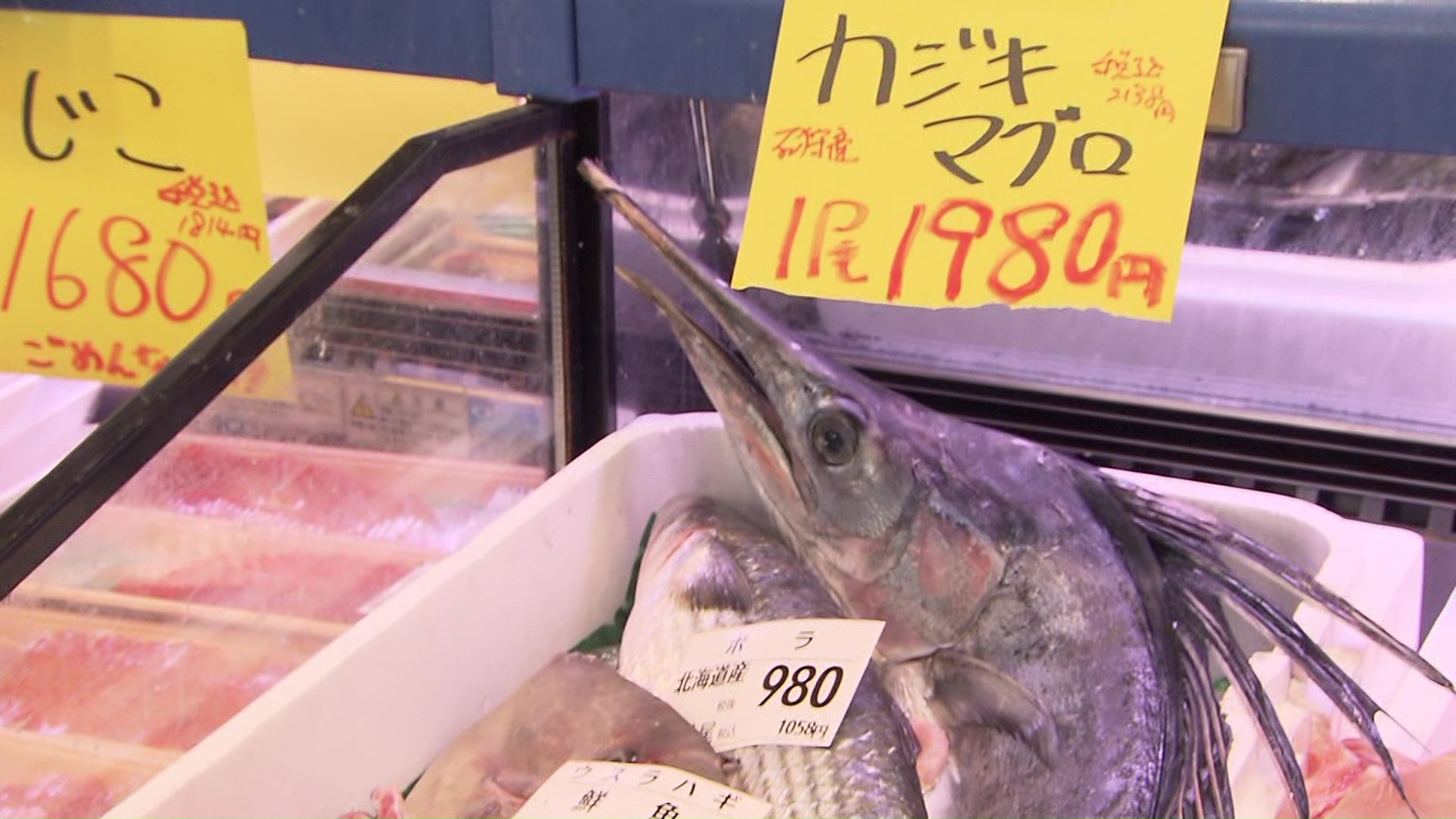 石狩産カジキマグロ