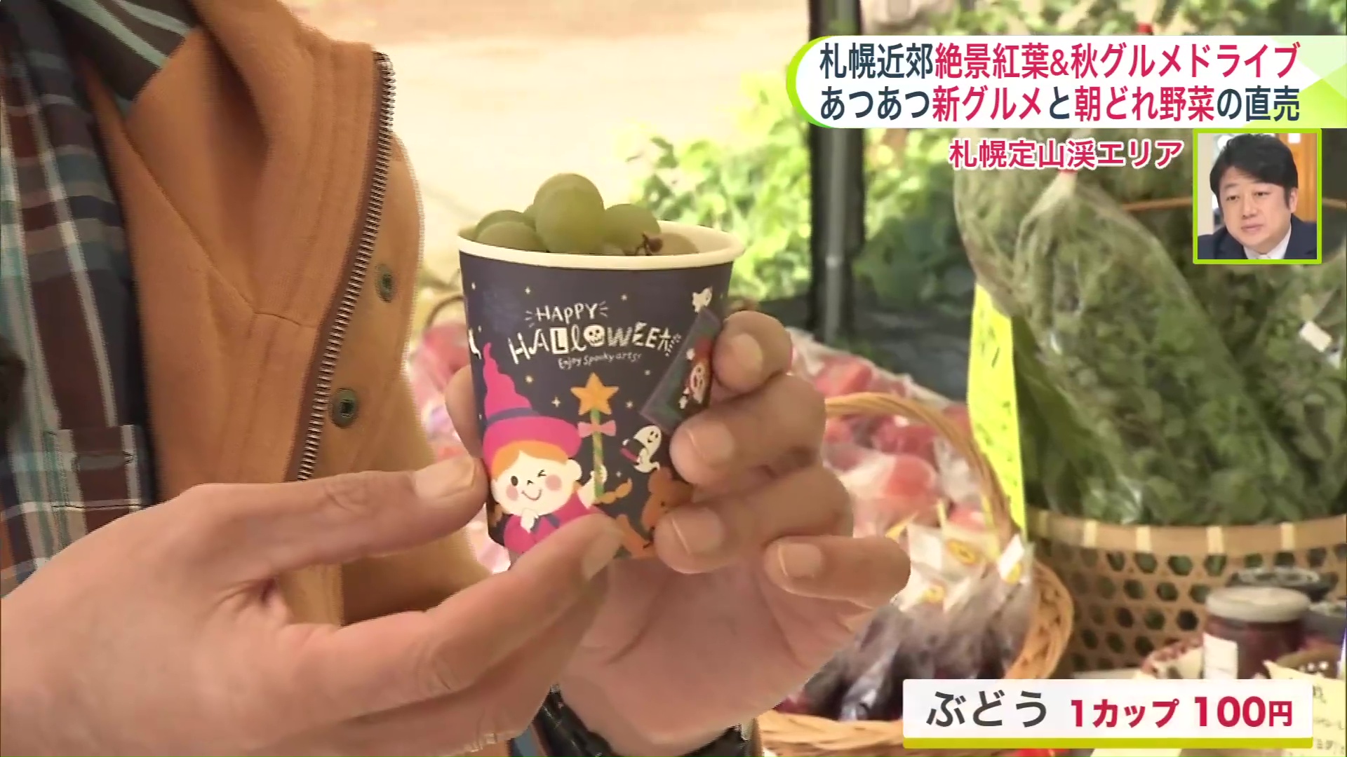 お手頃価格で販売