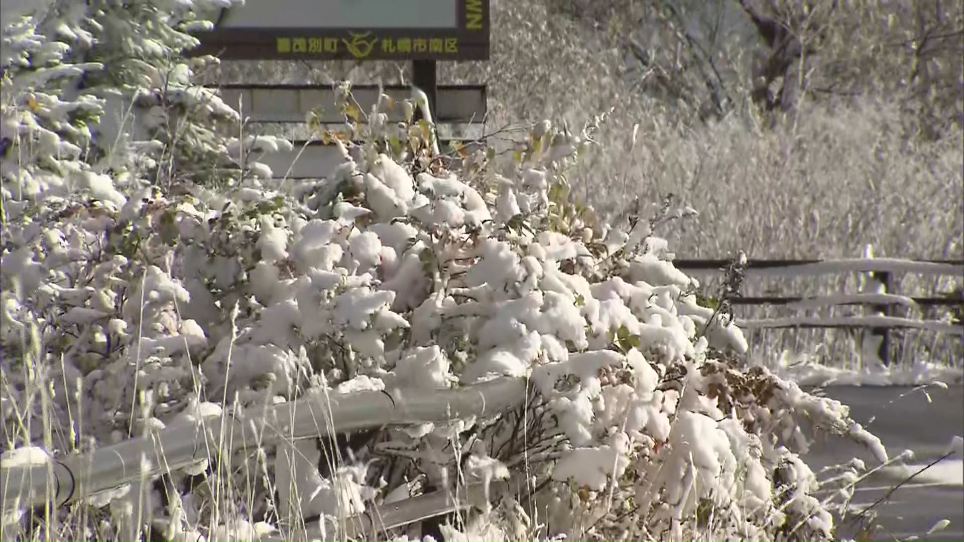 【中山峠や石北峠で今シーズン初の積雪】路面が一部凍結も「薄着でめちゃくちゃ寒い…」観光客も不安げ〈稚内市や枝幸町で初雪観測―今後10日間は気温が平年より低く寒さ続くか〉北海道