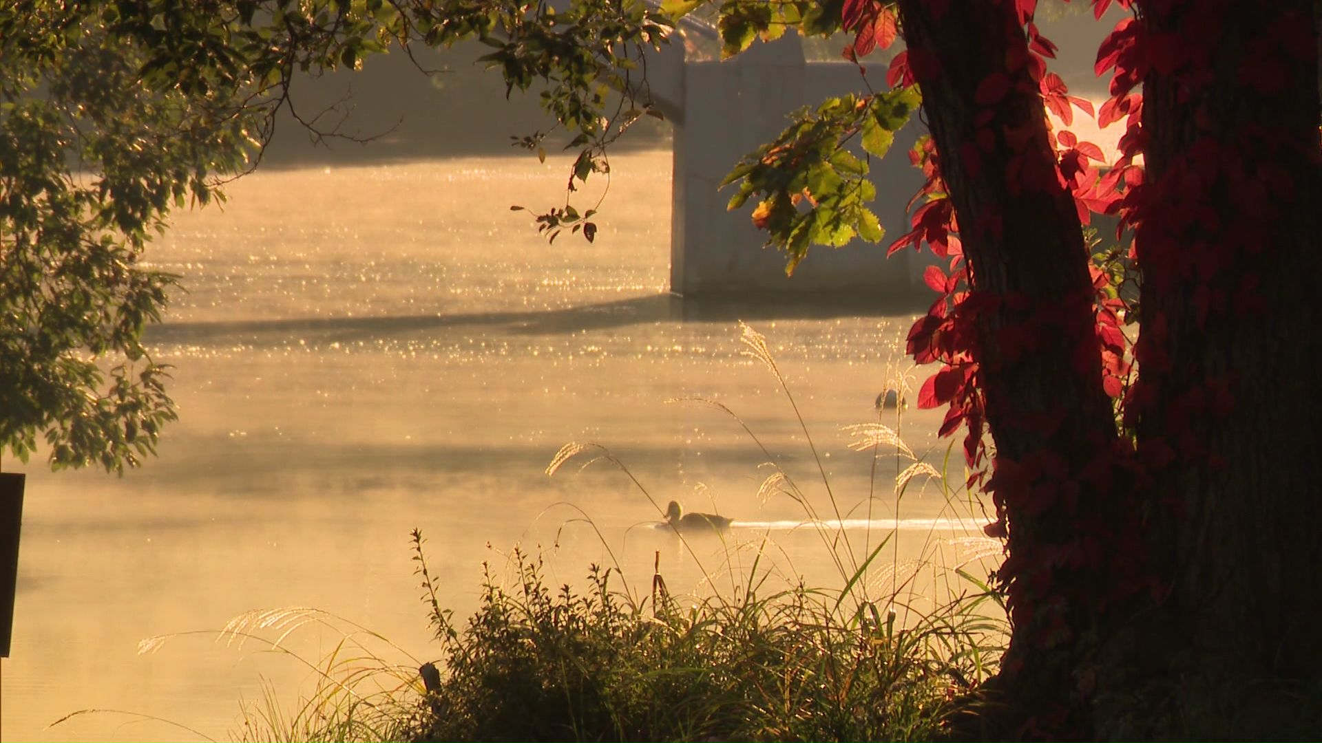 湖面から湯気のように水蒸気が立ち上る「けあらし」