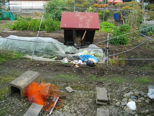 食い荒らされた生ごみ(提供:道警)