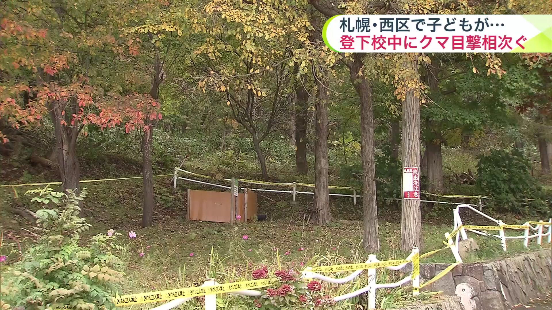 クマが目撃された「西野すみれ公園」