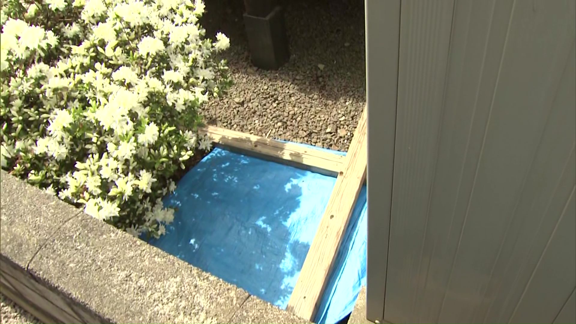 赤ちゃんは布に包まれた状態でビニール袋に入れて土に埋められていた