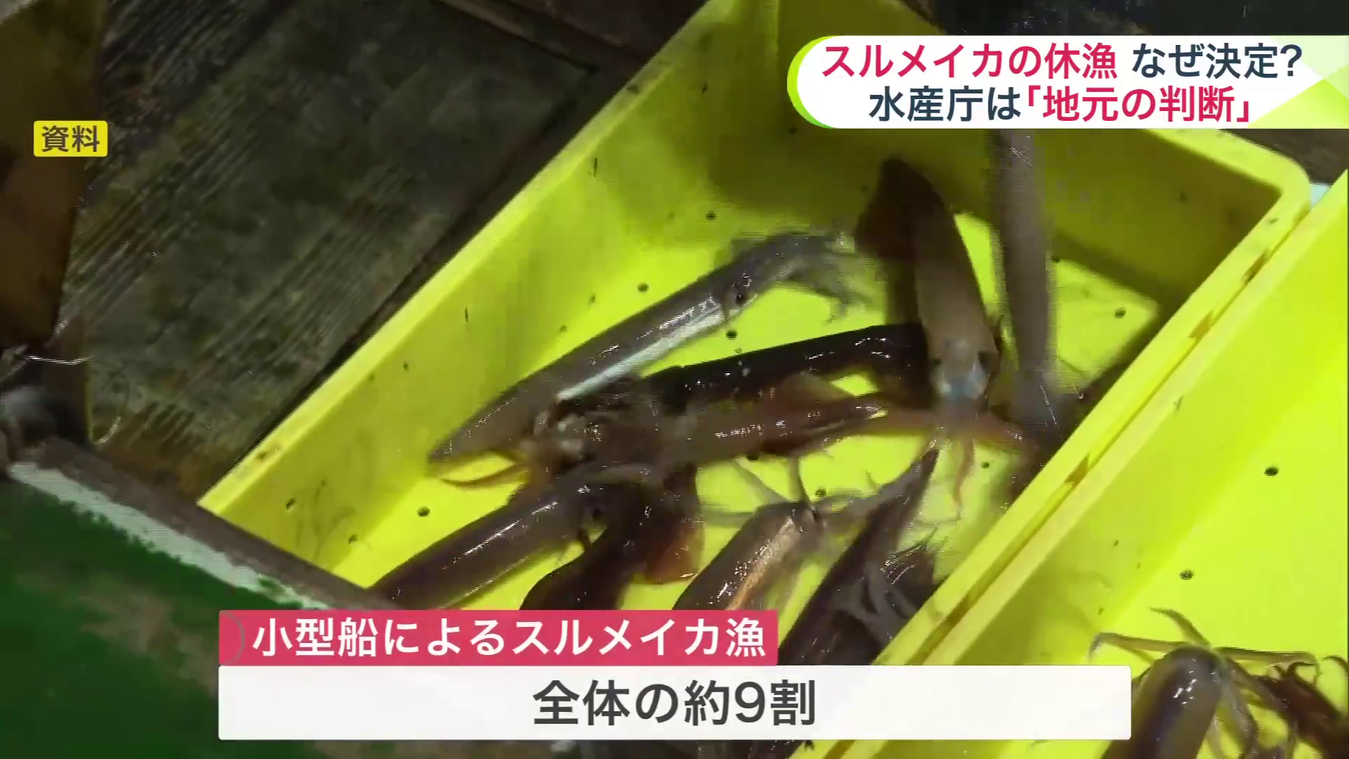 函館で小型船が水揚げするスルメイカは全体の約9割を占める