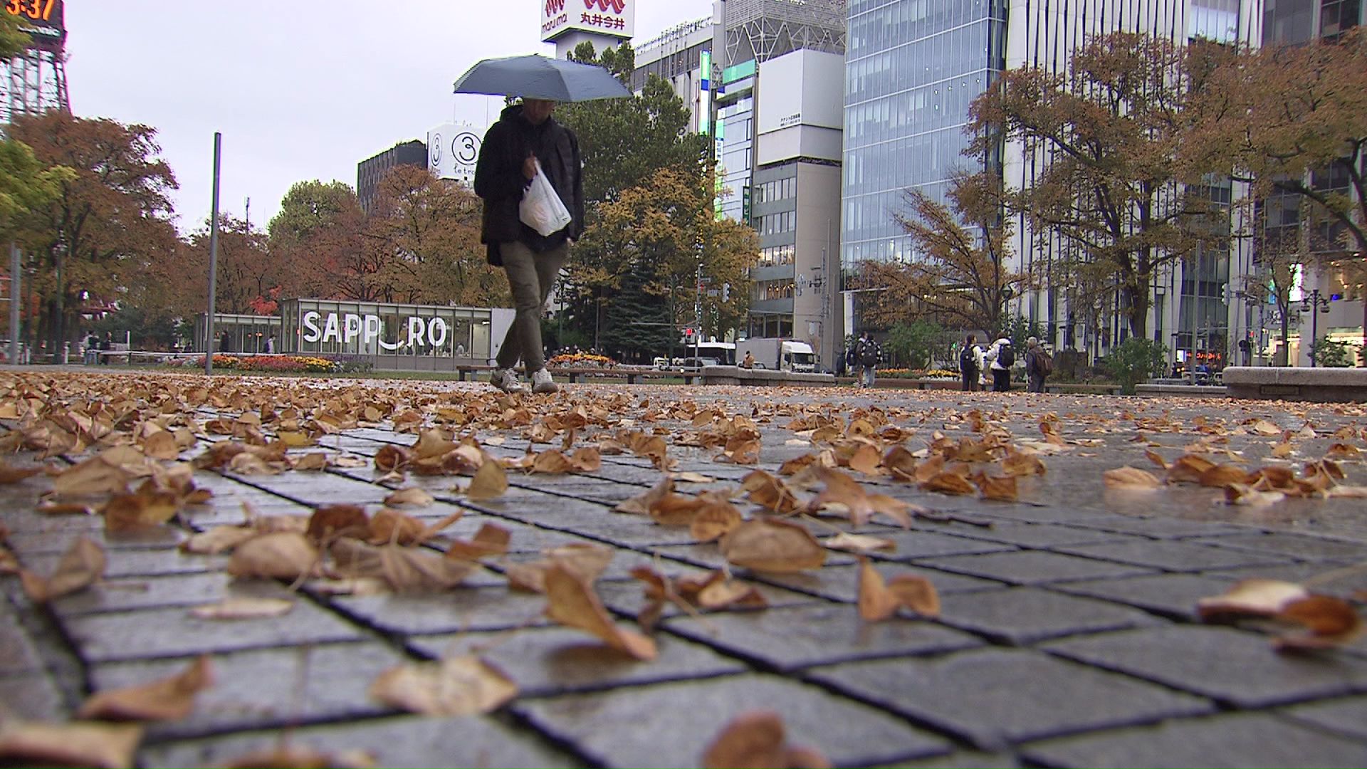 27日夜から28日にかけて日本海側北部で暴風の予想