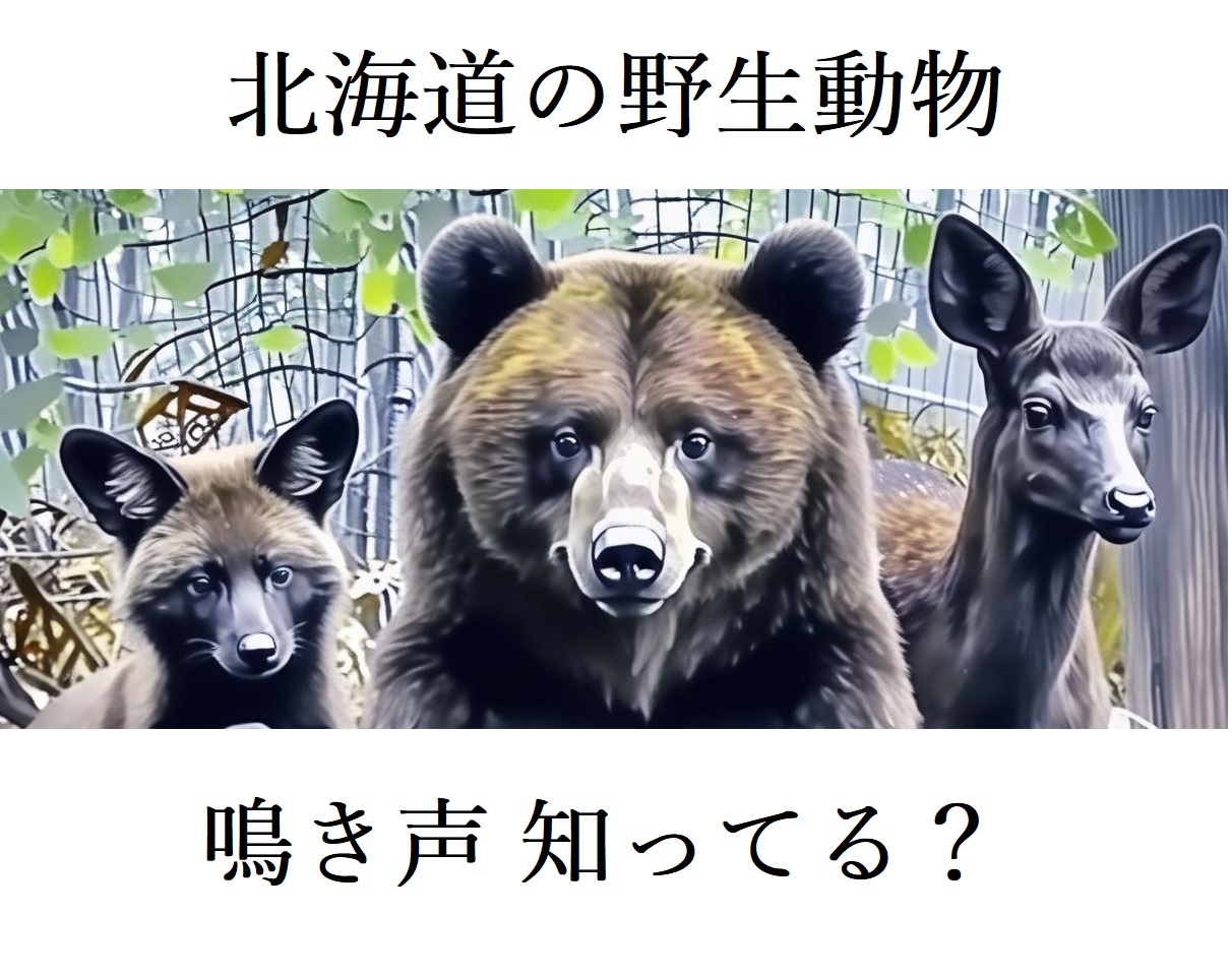 【この鳴き声は?】ヒグマ・キタキツネ・エゾシカ_北海道3大野生動物は何と鳴く?「ヴォー」「ギャーッ「ピャッ」