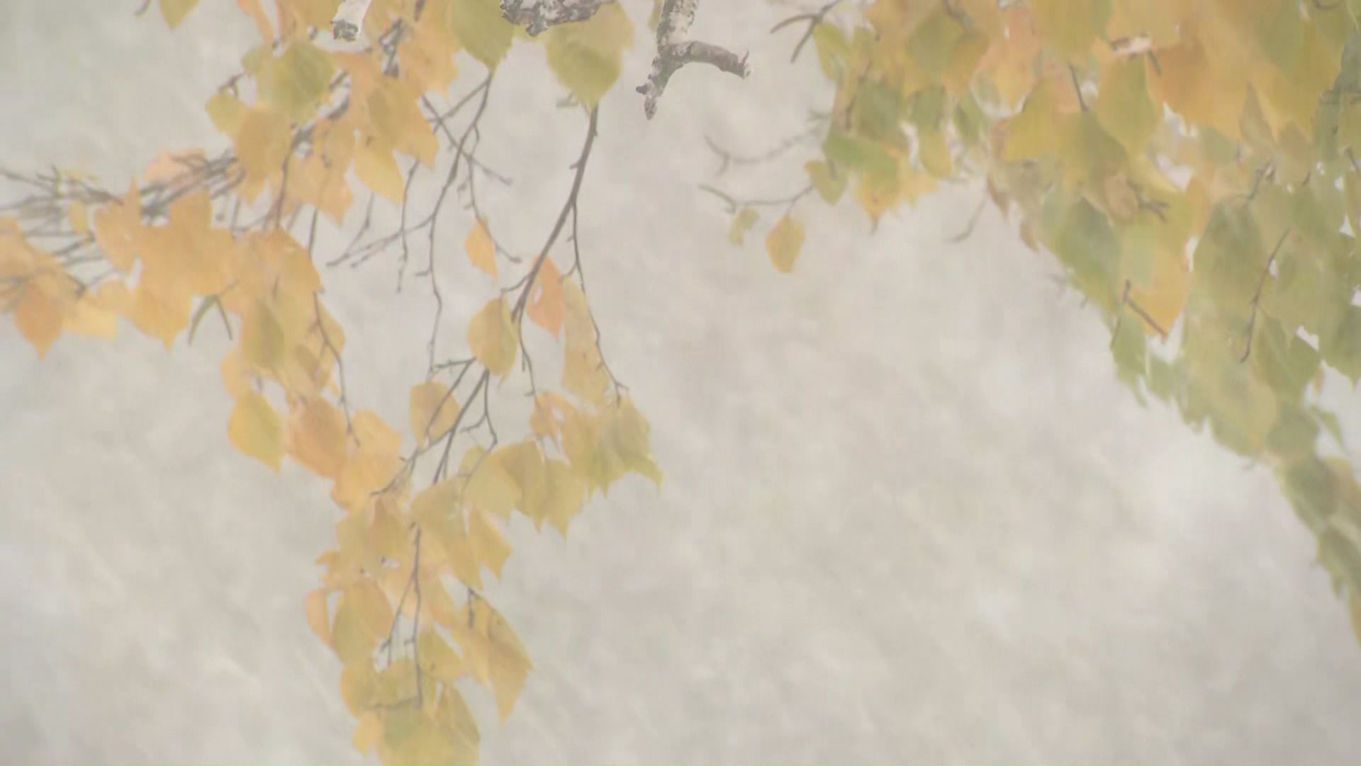 雪のピークは28日夜となる予想