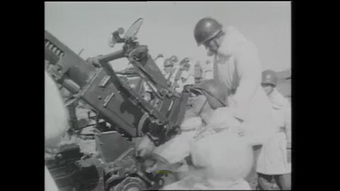 自衛隊が機関砲などでトドを駆除したことも(1961年 資料)