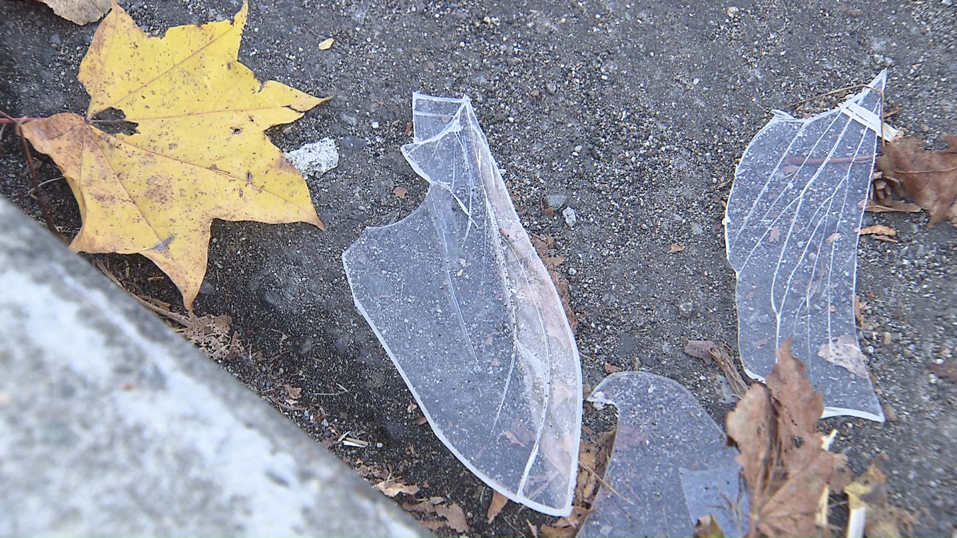 横断歩道を渡っていたところを右からきた軽乗用車にはねられた