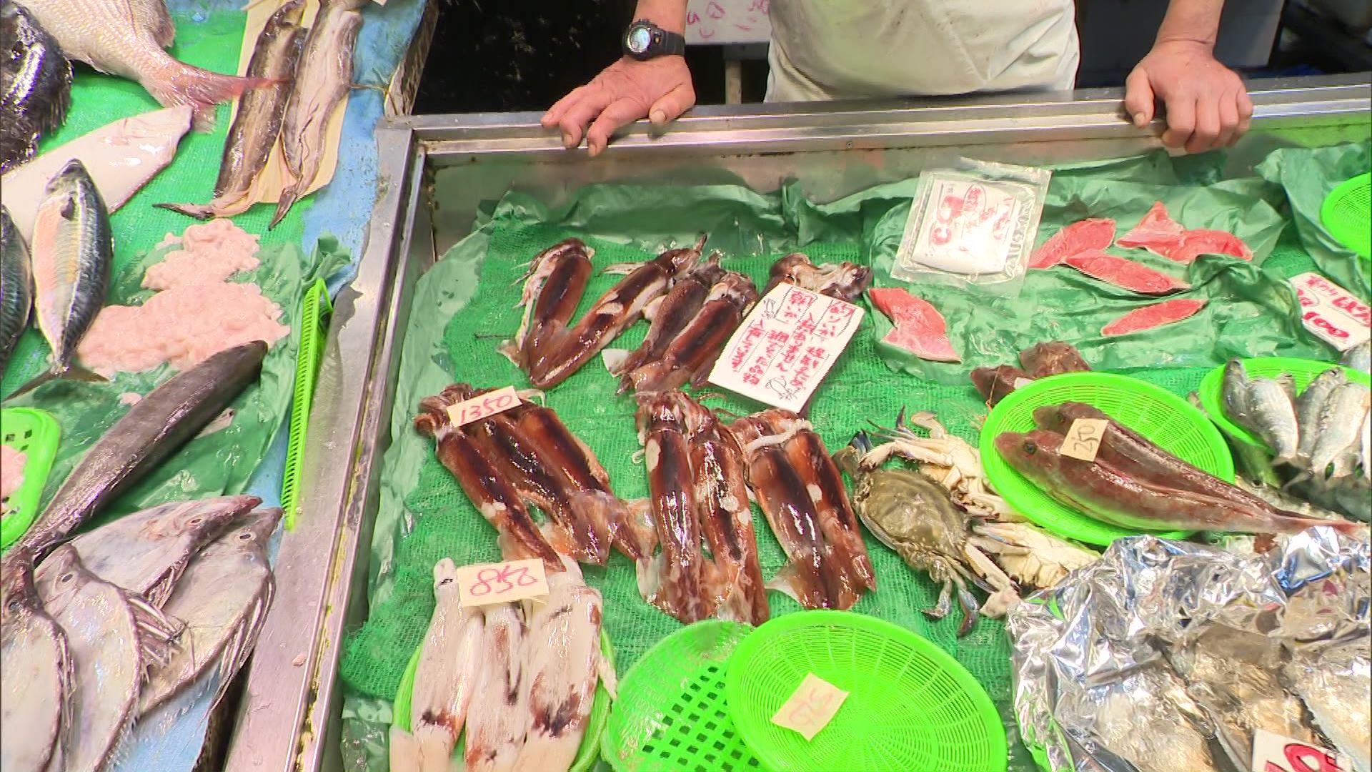鮮魚店には定置網でとれたイカが並ぶ