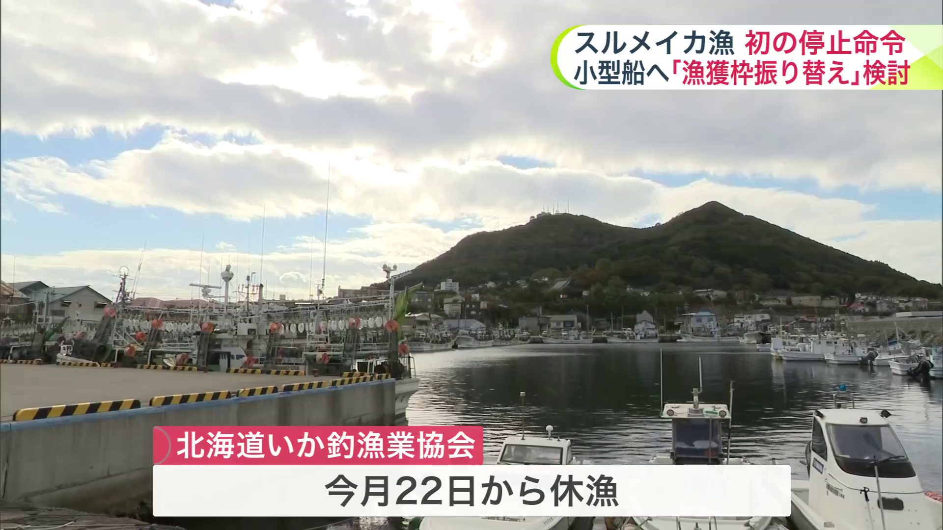 水産庁の決定に先立ち「北海道いか釣漁業協会」は22日から休漁