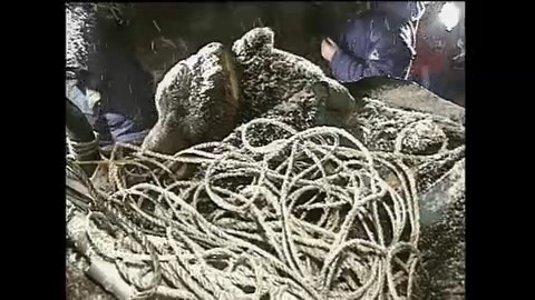 1998年11月 ハンターを襲ったクマ 約400~500キロ