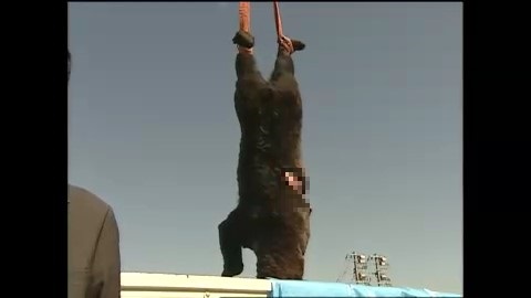 2001年9月 高速道路で車と衝突 約300キロ