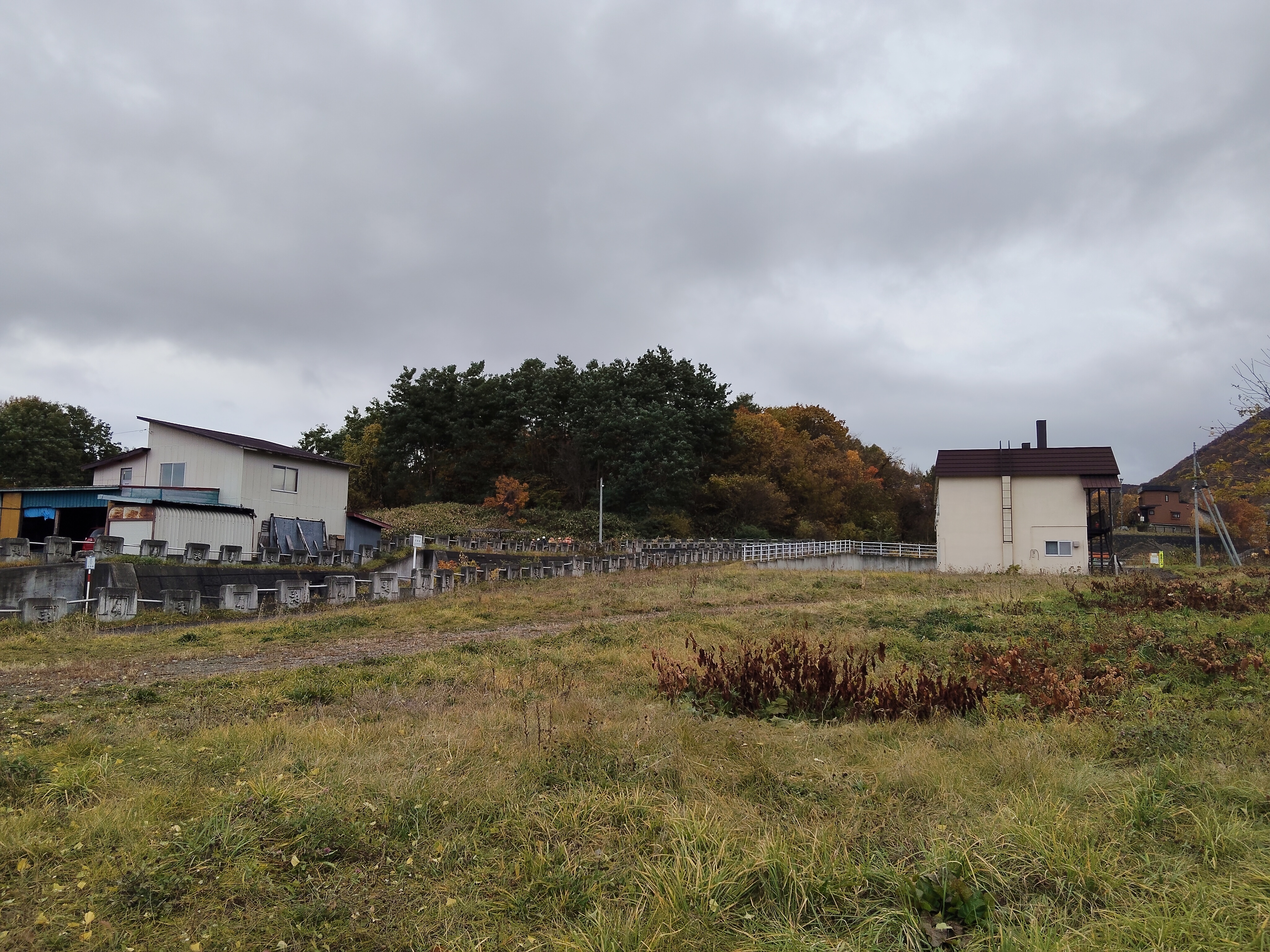 11月2日15時　クマ出没中の現場（札幌・南区藤野）