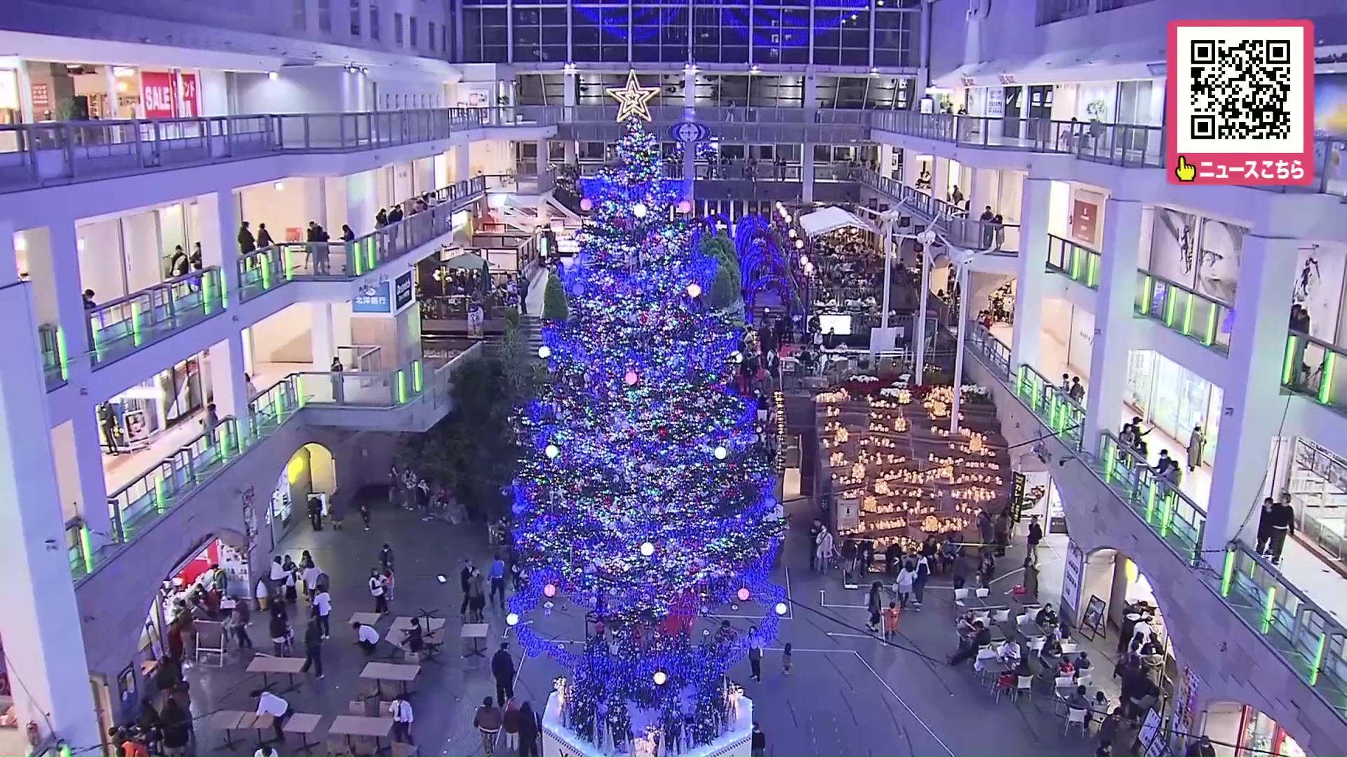 “ひと足早い”クリスマスツリーが点灯―サッポロファクトリーで『ジャンボクリスマスツリー』が登場！音楽に合わせ光の色が変化する「ショータイム」も〈北海道札幌市〉