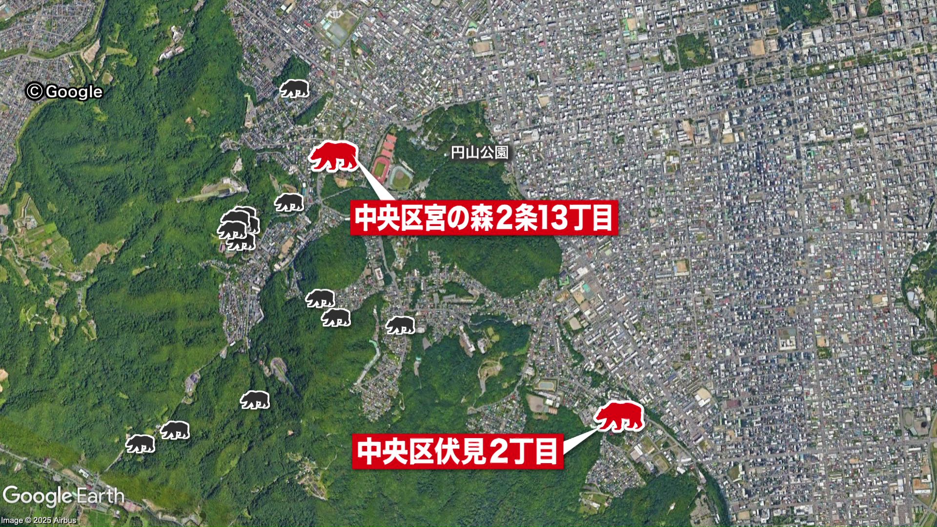 中央区では9月以降クマの目撃が23件に