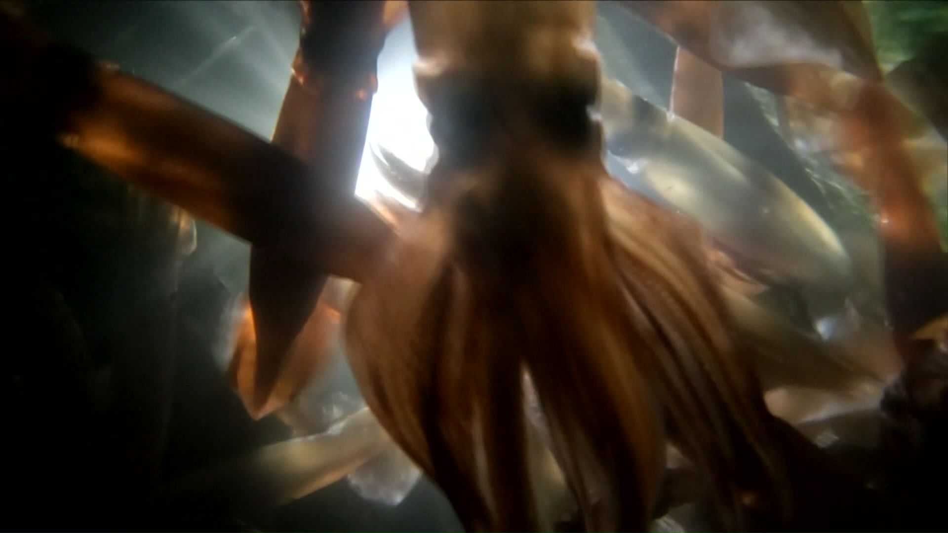 イカが待っている