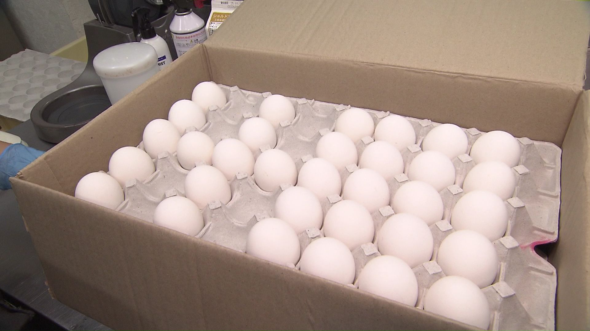 仕入れた卵