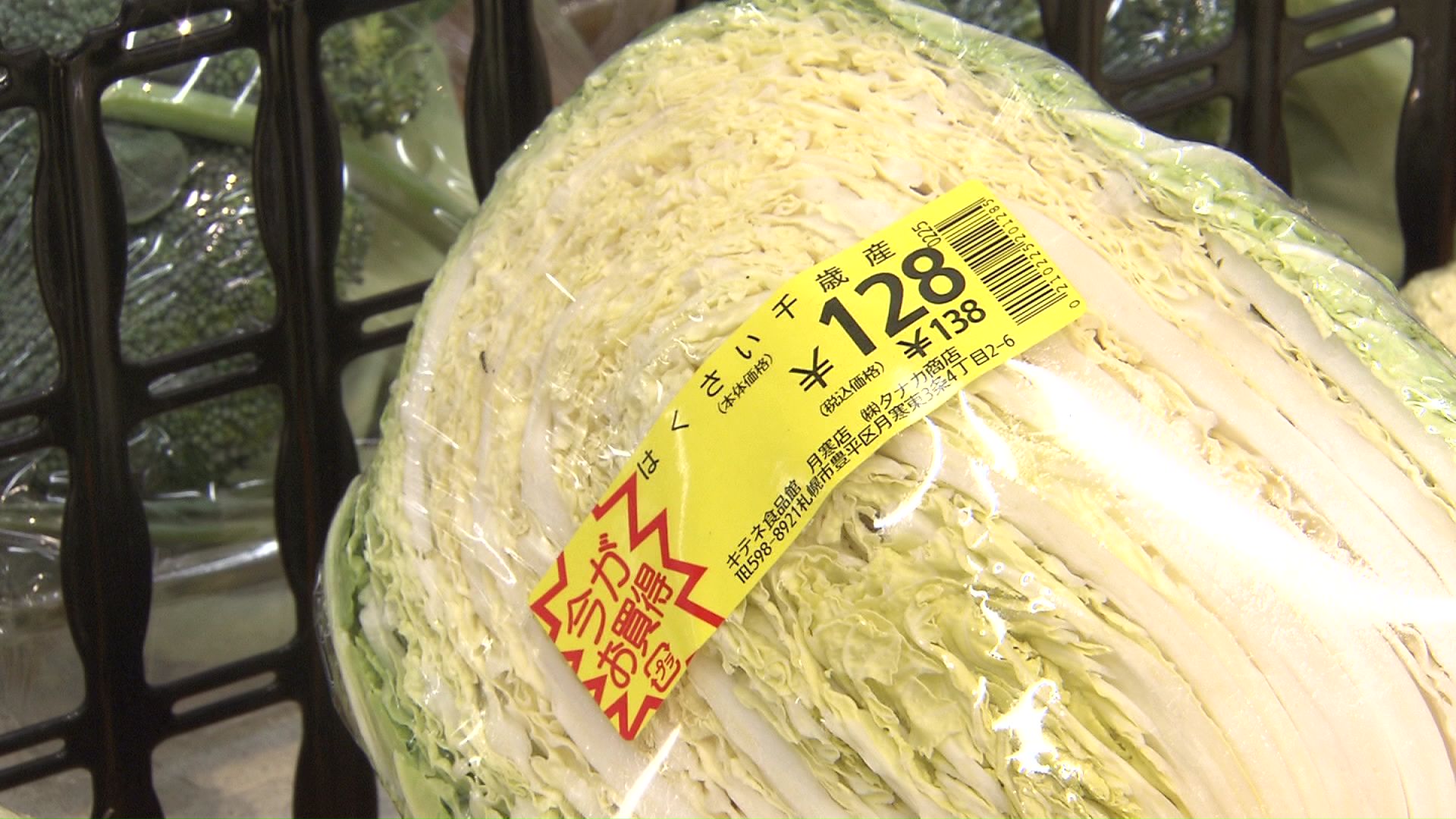 今年のハクサイは?