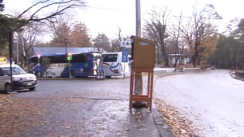 クマのような動物が目撃された現場