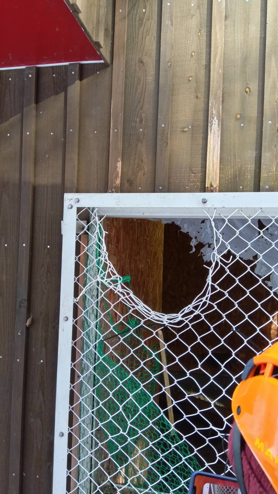野生復帰施設窓枠に取り付けられた金網の破損(提供:札幌市)