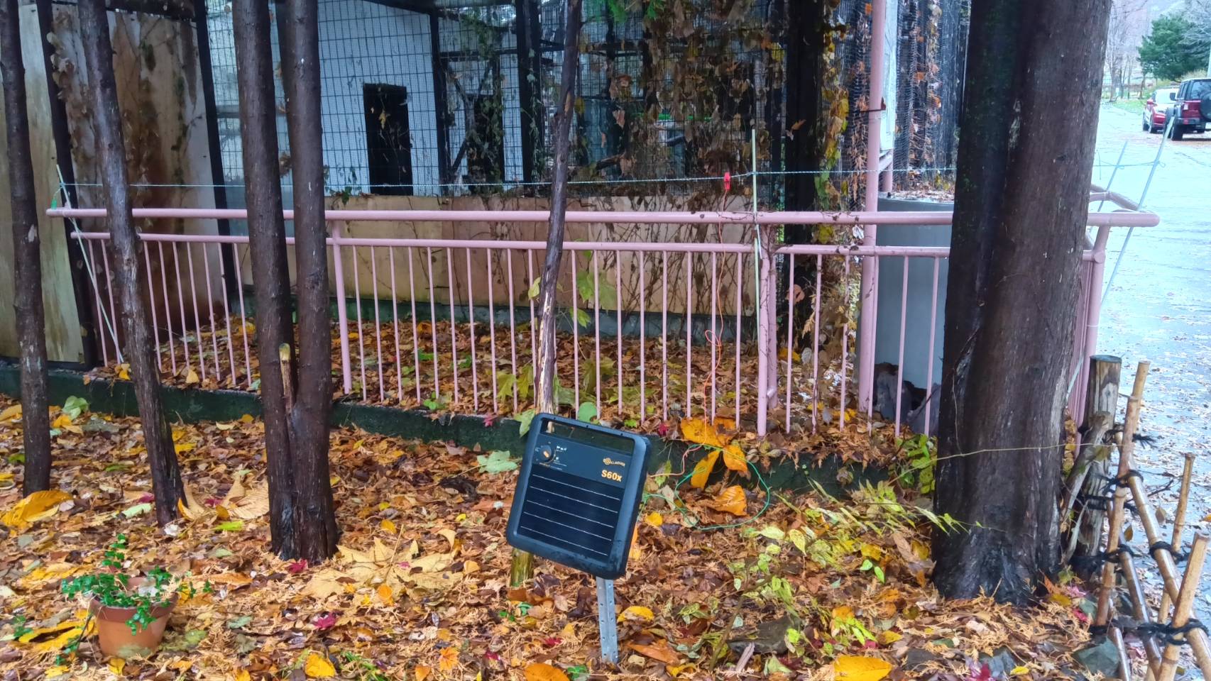 園内に設置した電気柵(提供:札幌市)